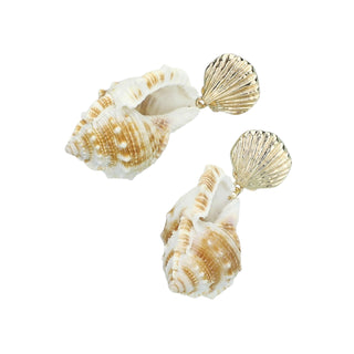 puka shell earring