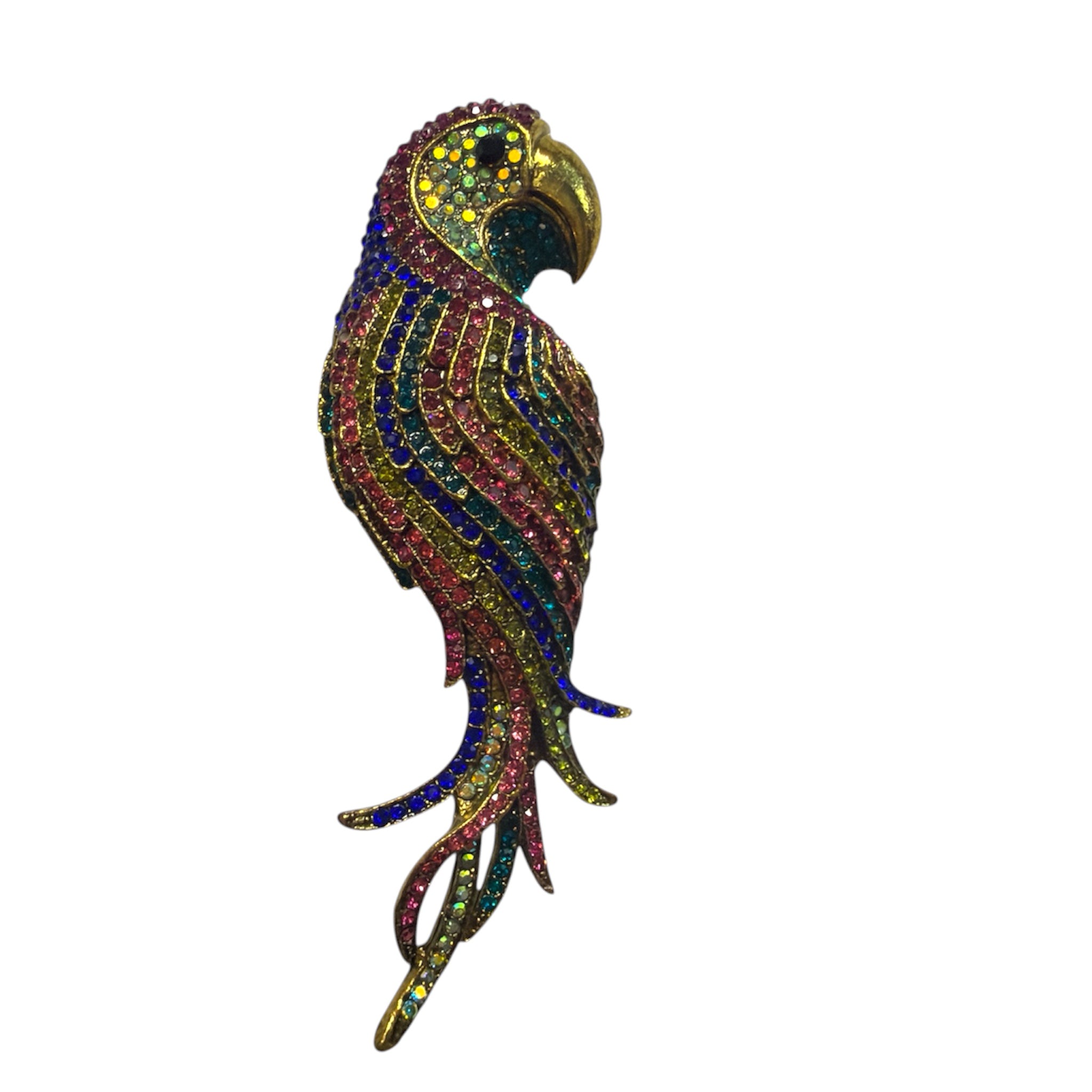 tropical luxe parrot