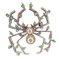 Pearled Spider