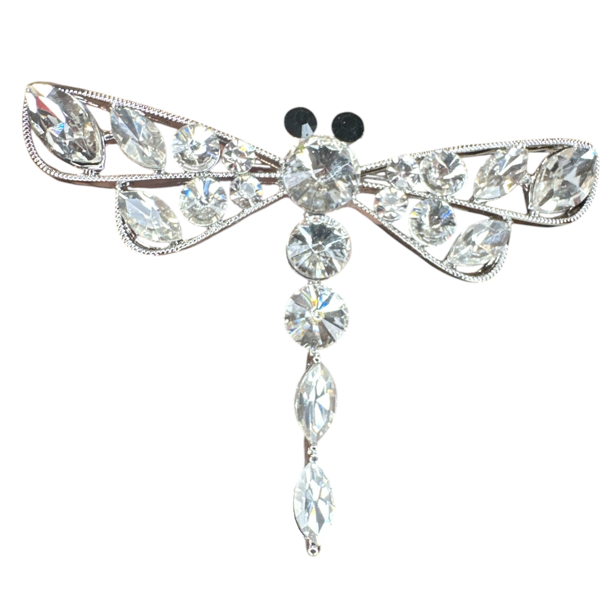 Glass-Eyed Dragonfly