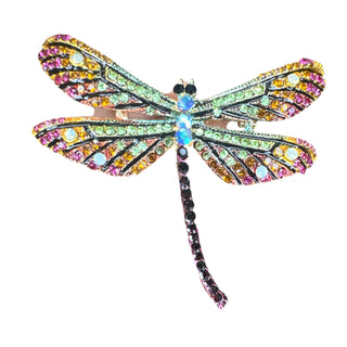 Rainbow Dragonfly