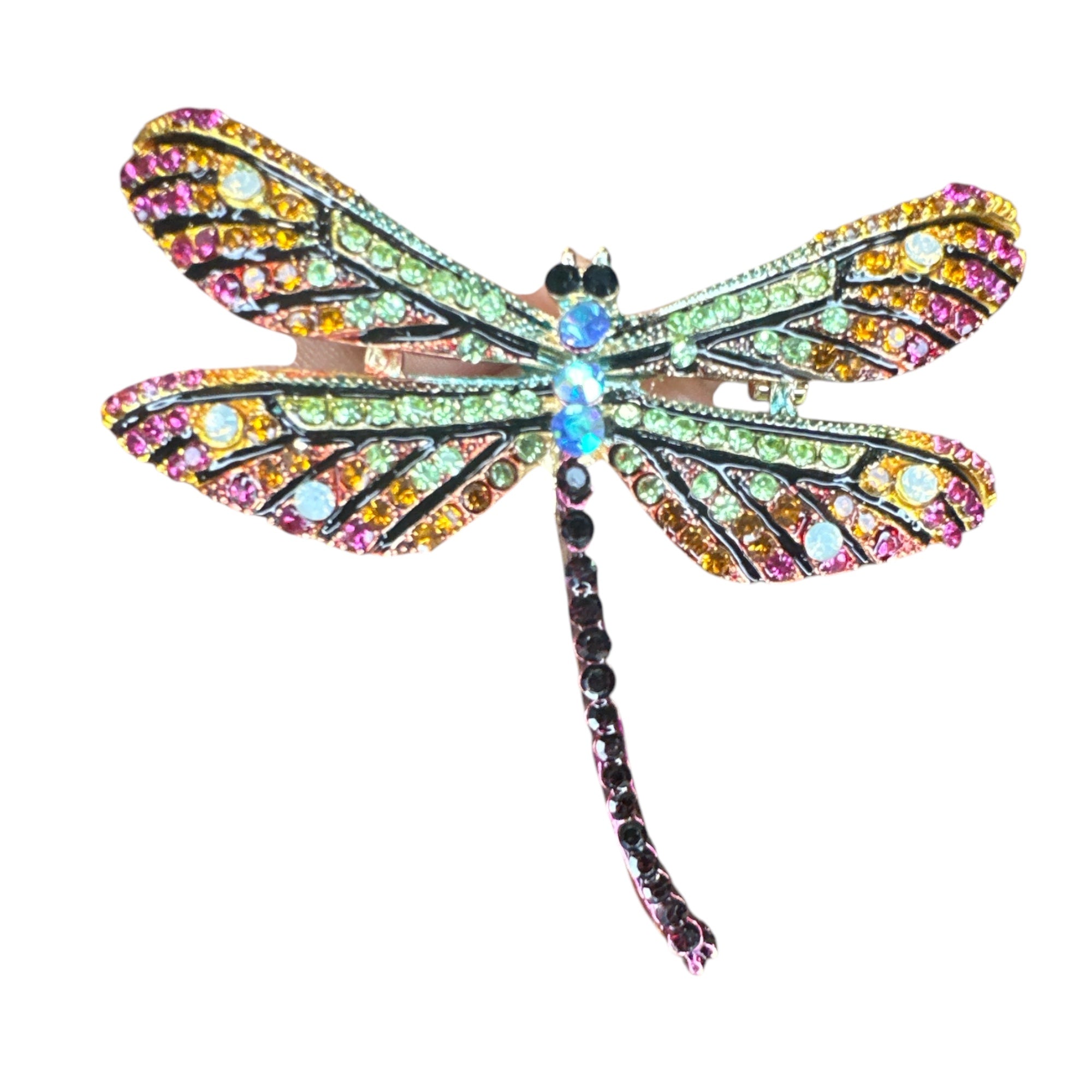 Rainbow Dragonfly